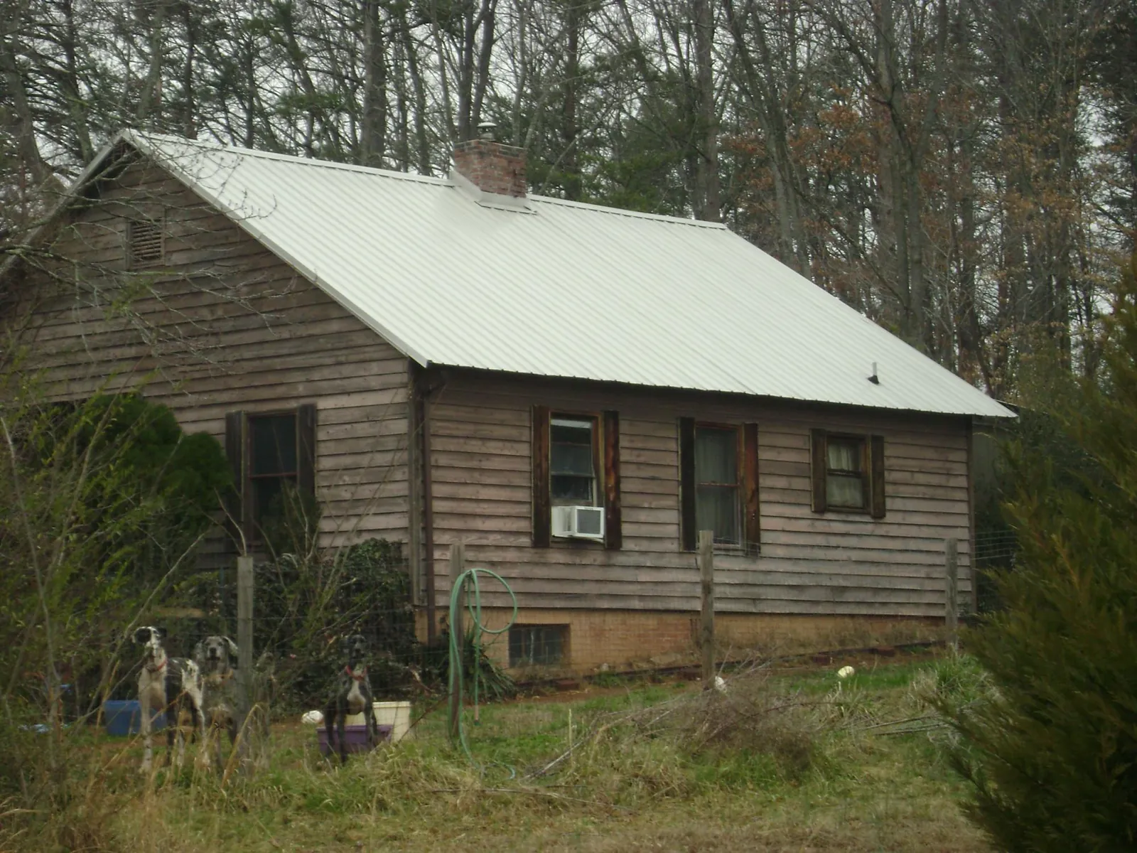 White metal roof on an old wood sided farmhouse, from a Asphalt Shingle Roof Repair job in Fort Hall